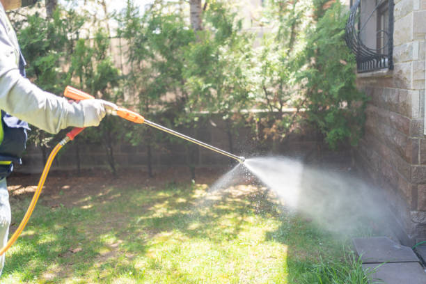 Best Lawn Pest Control  in Hattiesburg, MS